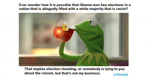 obama_elected_or_cheated.png